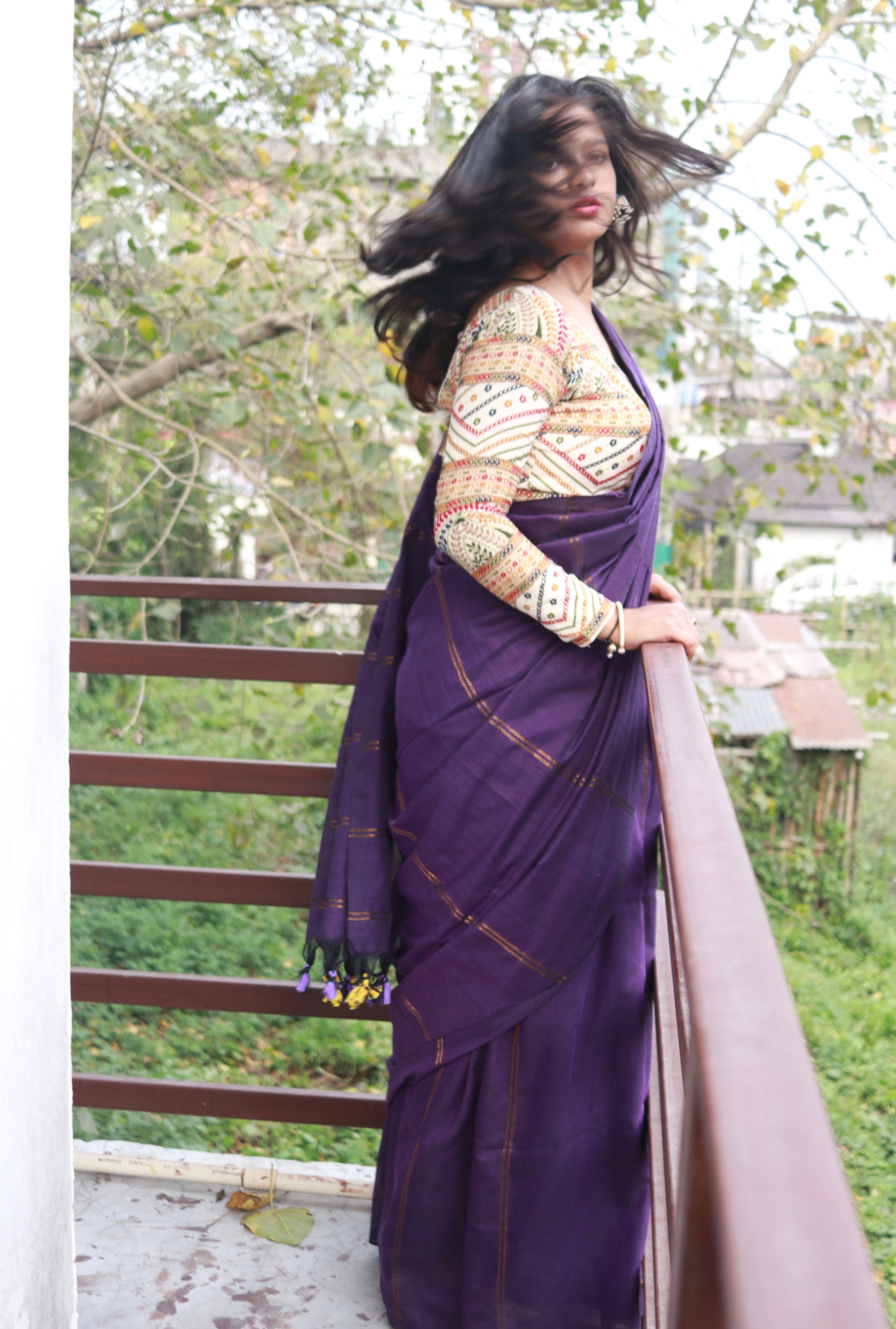 Plum in zari