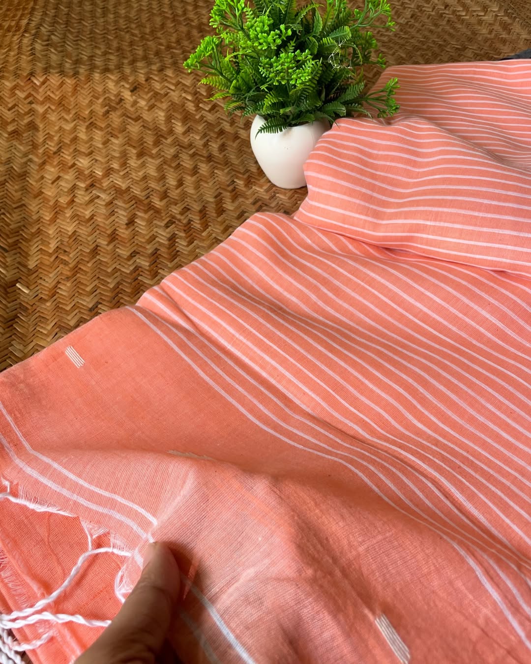 Peach in Coral